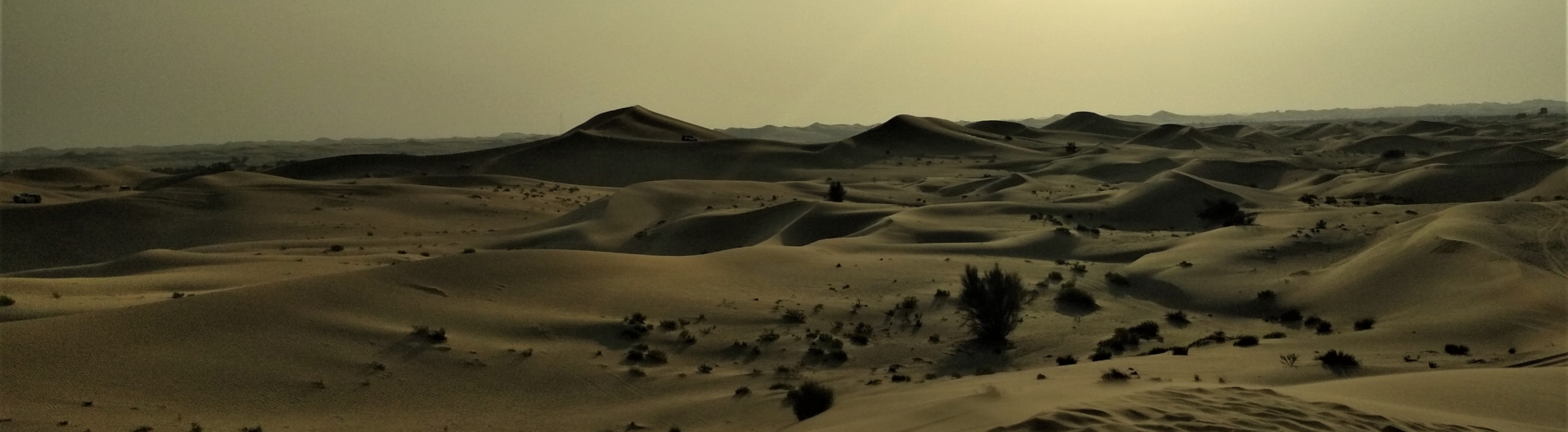 Pustynia i meczet - Abu Dhabi pozwala na chwilę się zatrzymać